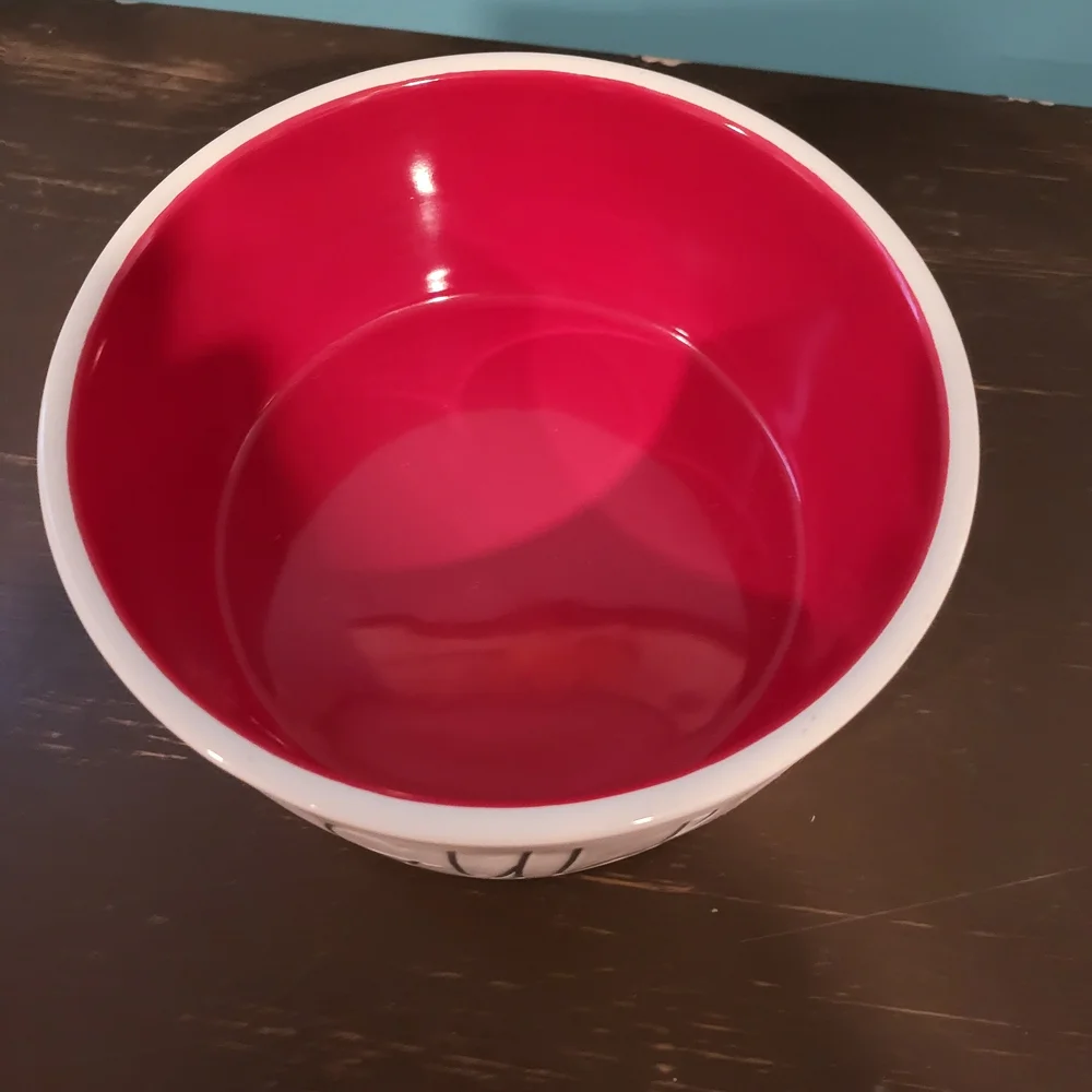 Rae Dunn GULP Pet Bowl Red Interior | Artisan Collection